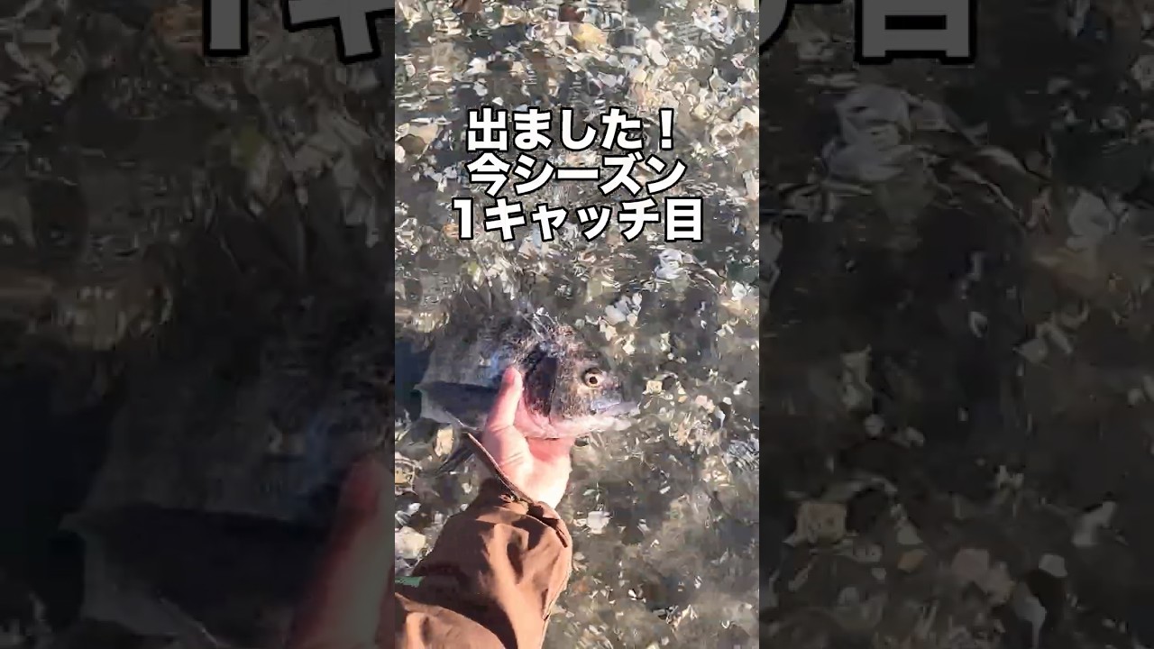 FlyFishing 2026年1月1日