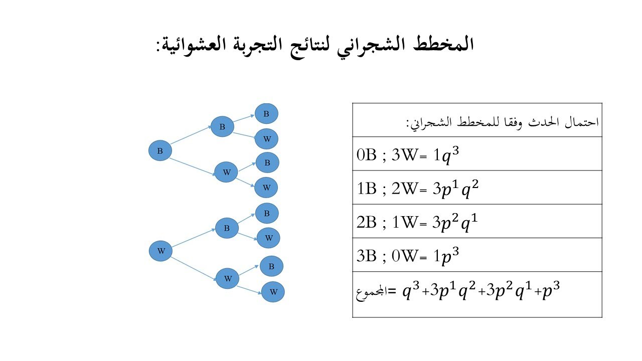 التوزيعات الاحتمالية المتقطعة  توزيع ذي الحدين1