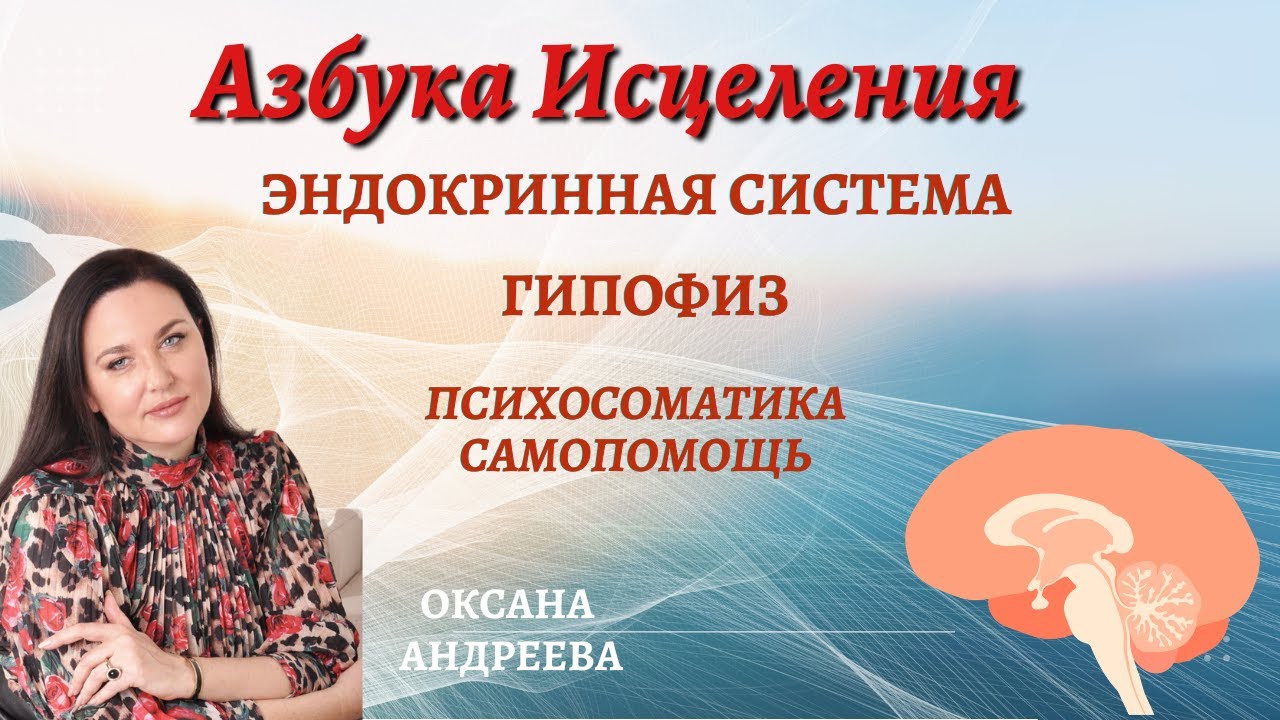 Эндокринная система, психосоматика и самопомощь.  Гипофиз. Оксана Андреева