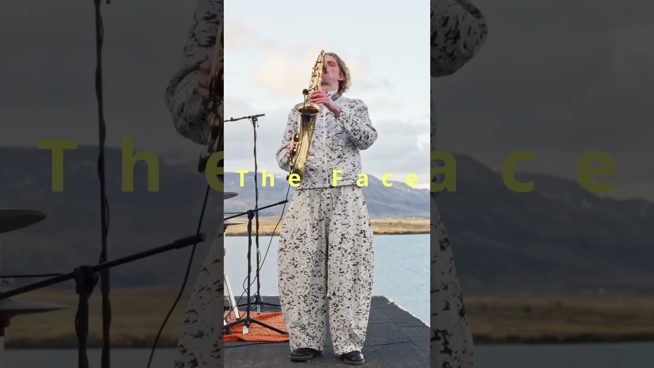 Ari &Aacute;rel&iacute;us - The Face (Live at Verkvinnslan)