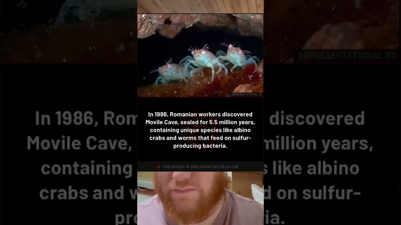 In 1986, Romanian workers found Movile Cave, sealed 5.5M years, with unique albino species.