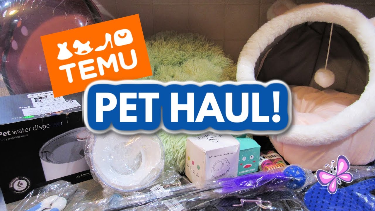 Pet Haul от TEMU! Классные товары для наших собак и кошек! Январь 2023 г.