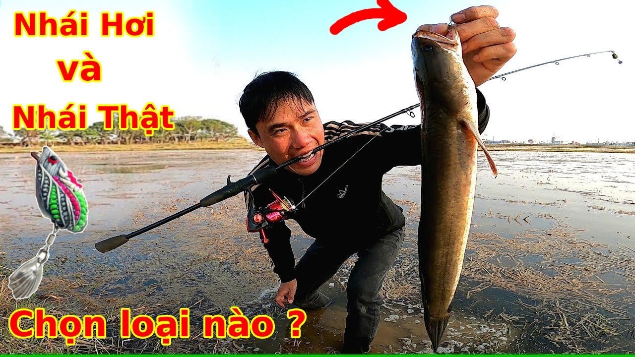 Đi câu Lure bằng Nhái Hơi và Nhái Thật, loại nào hiệu quả hơn