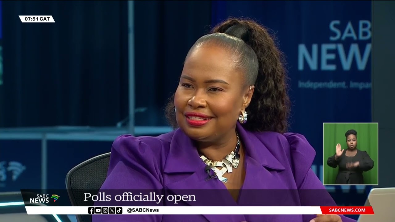 2024 Elections | Analysts talk about voter turnout