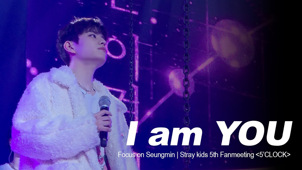 I am YOU - Stray kids(Focus on Seungmin) | Stray Kids 5th Fanmeeting 'SKZ 5'CLOCK'