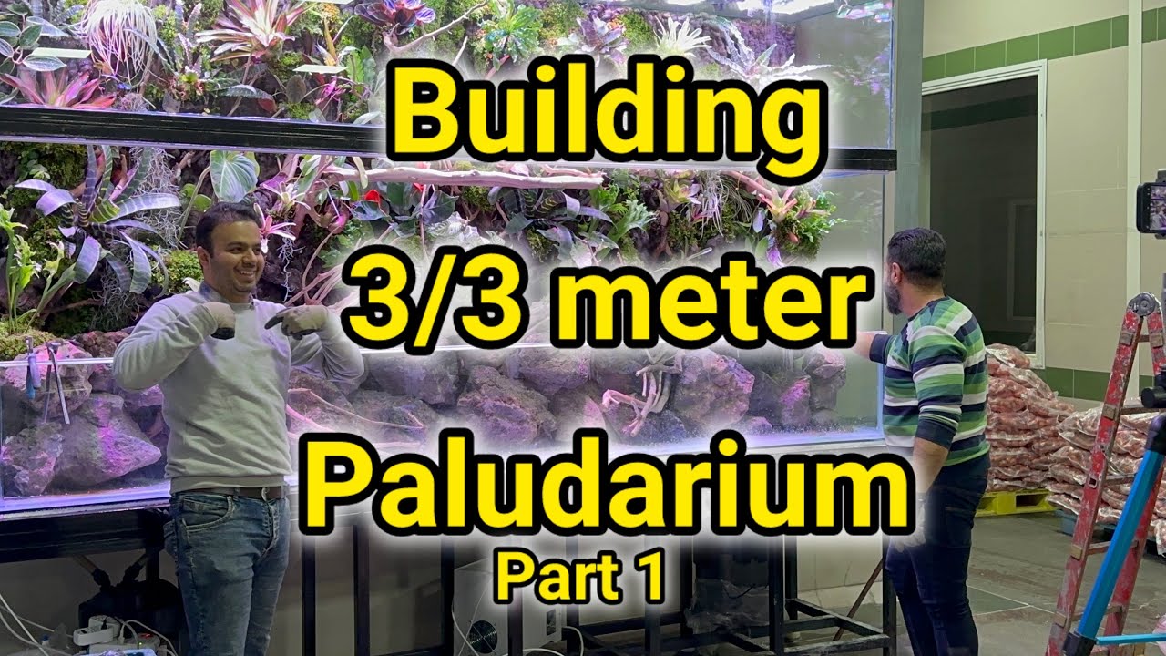 How to build paludarium!! Change aquarium to paludarium step by step 😎