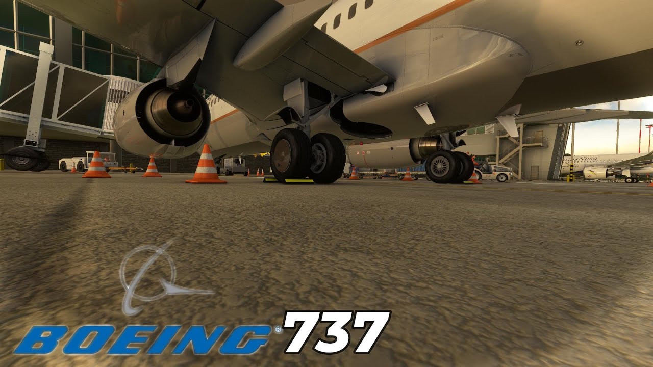 Copa Airlines Boeing 737-800 ( pereira to Panama) SKPE/MPTO