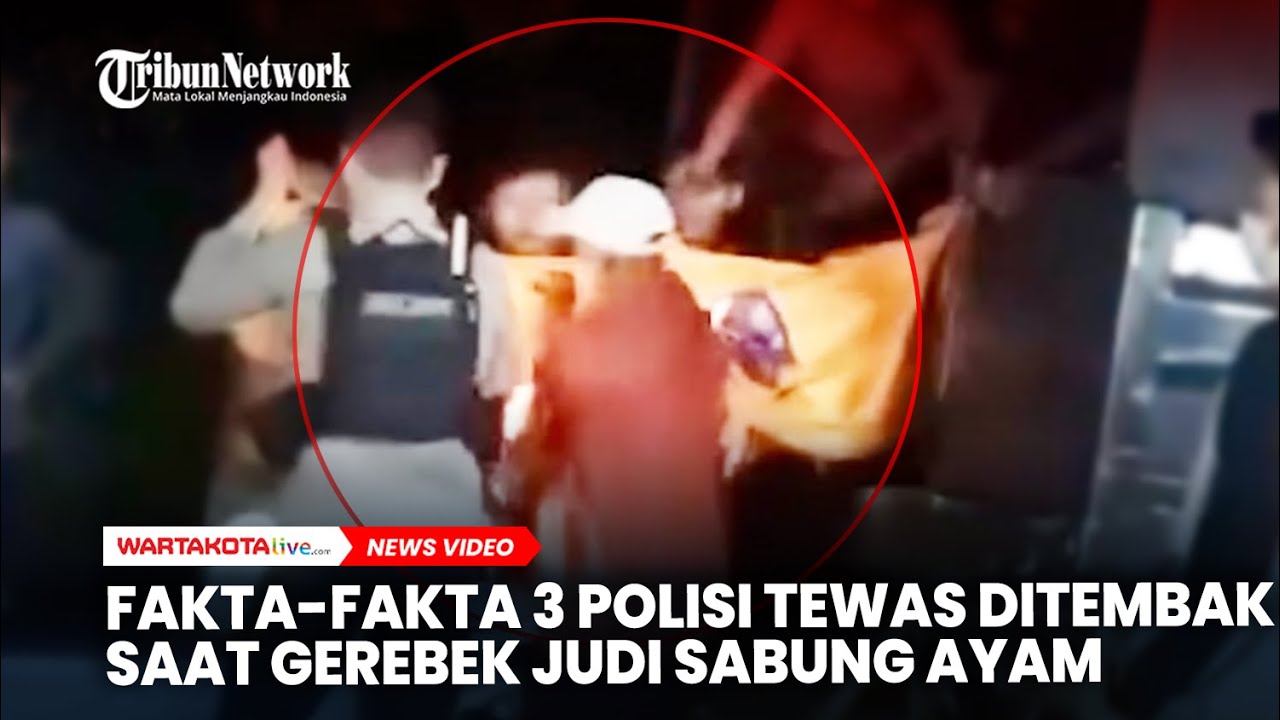 Fakta-Fakta 3 Polisi Tewas Ditembak saat Gerebek Judi Sabung Ayam