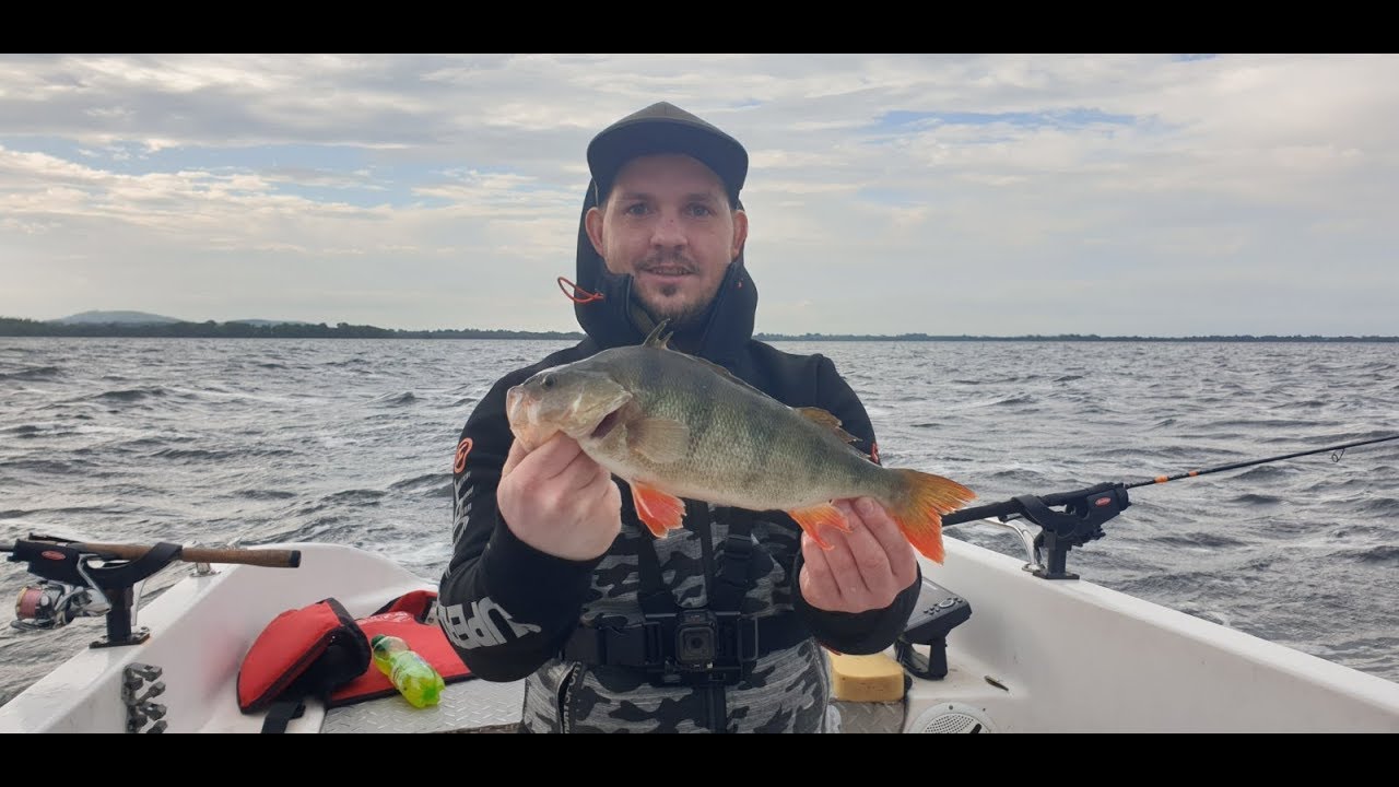 Perch fishing on Lough Sheelin , Весенний жор окуня,  ловим из под лодки