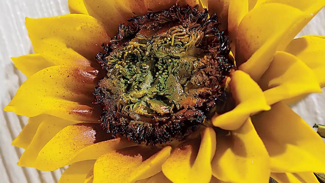 Watch Our Capodimonte Sunflower Being Made