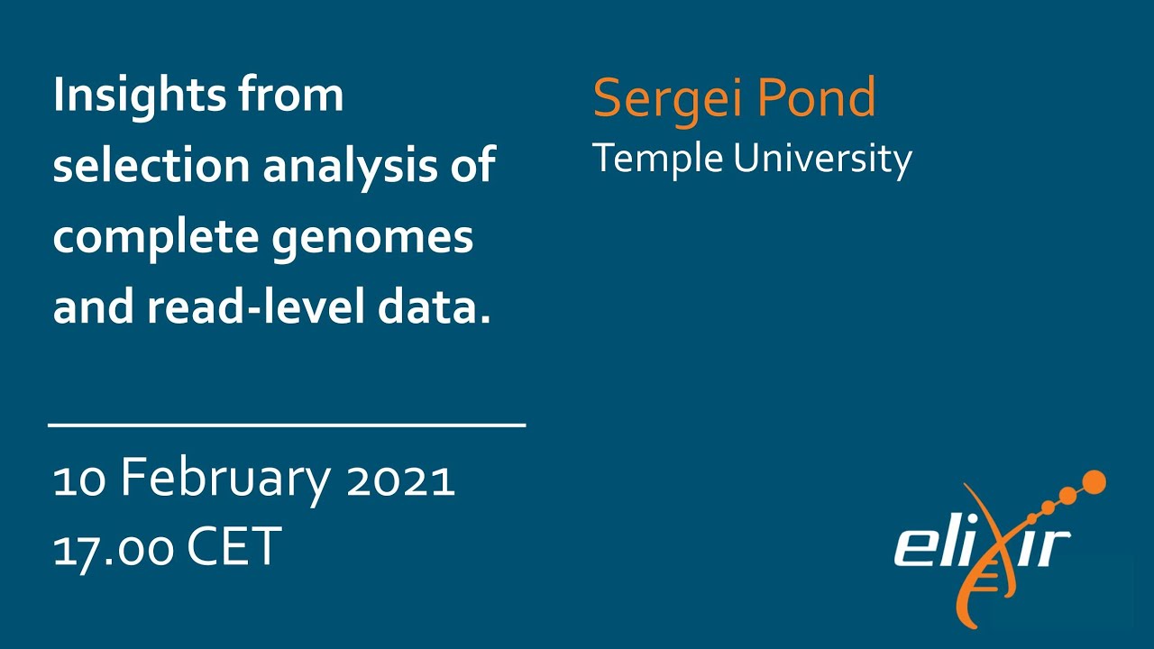 COVID analysis in Galaxy: Insights from selection analysis of complete genomes and read-level data