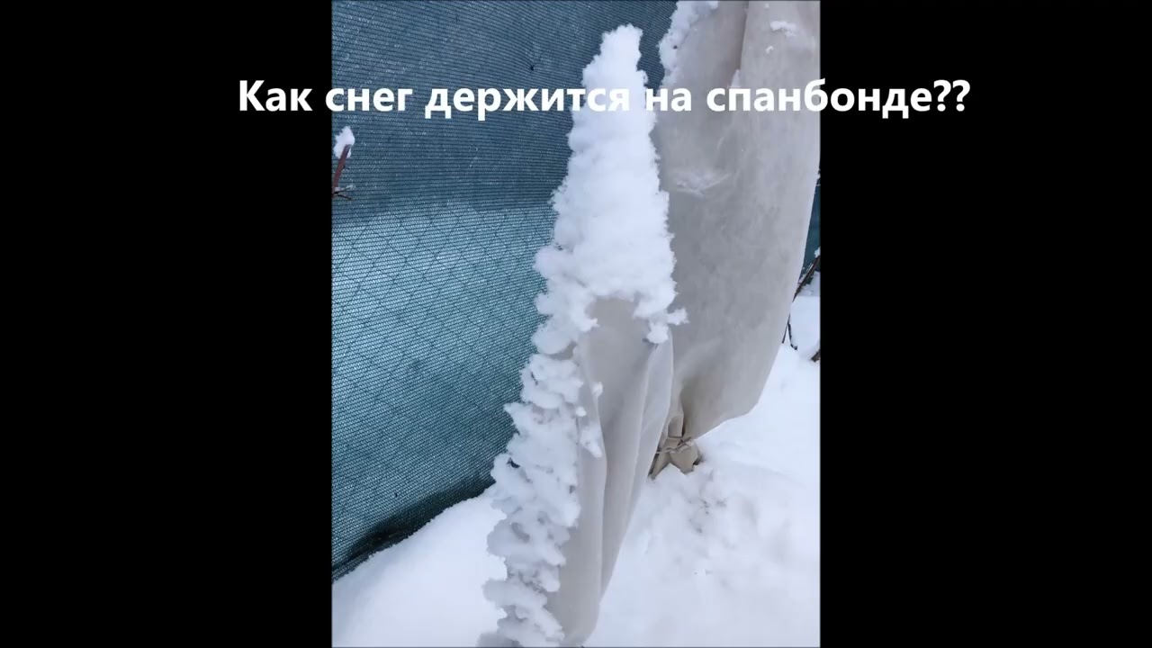 Необычный февраль 2025 года