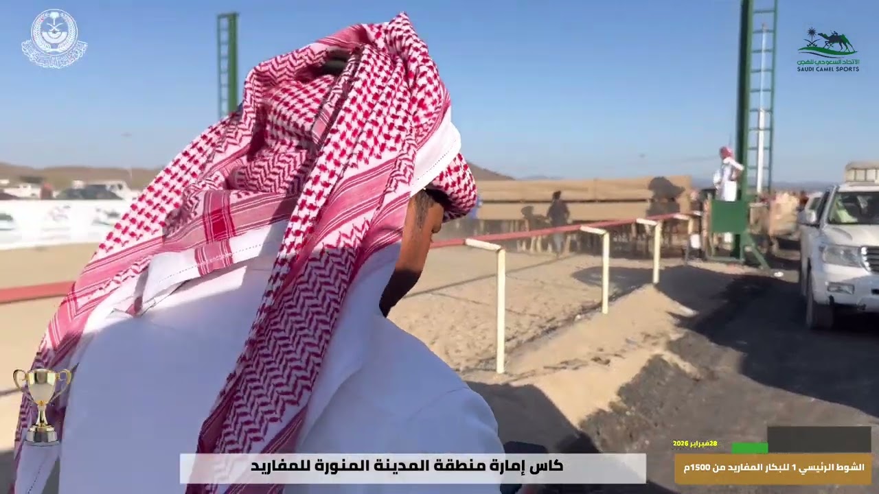 كاس إمارة منطقة المدينةالمنورة للمفاريد بميدان اليتمه  الشوط 1 الرئيسي   دهامة لـ محمد راشد المحامض 