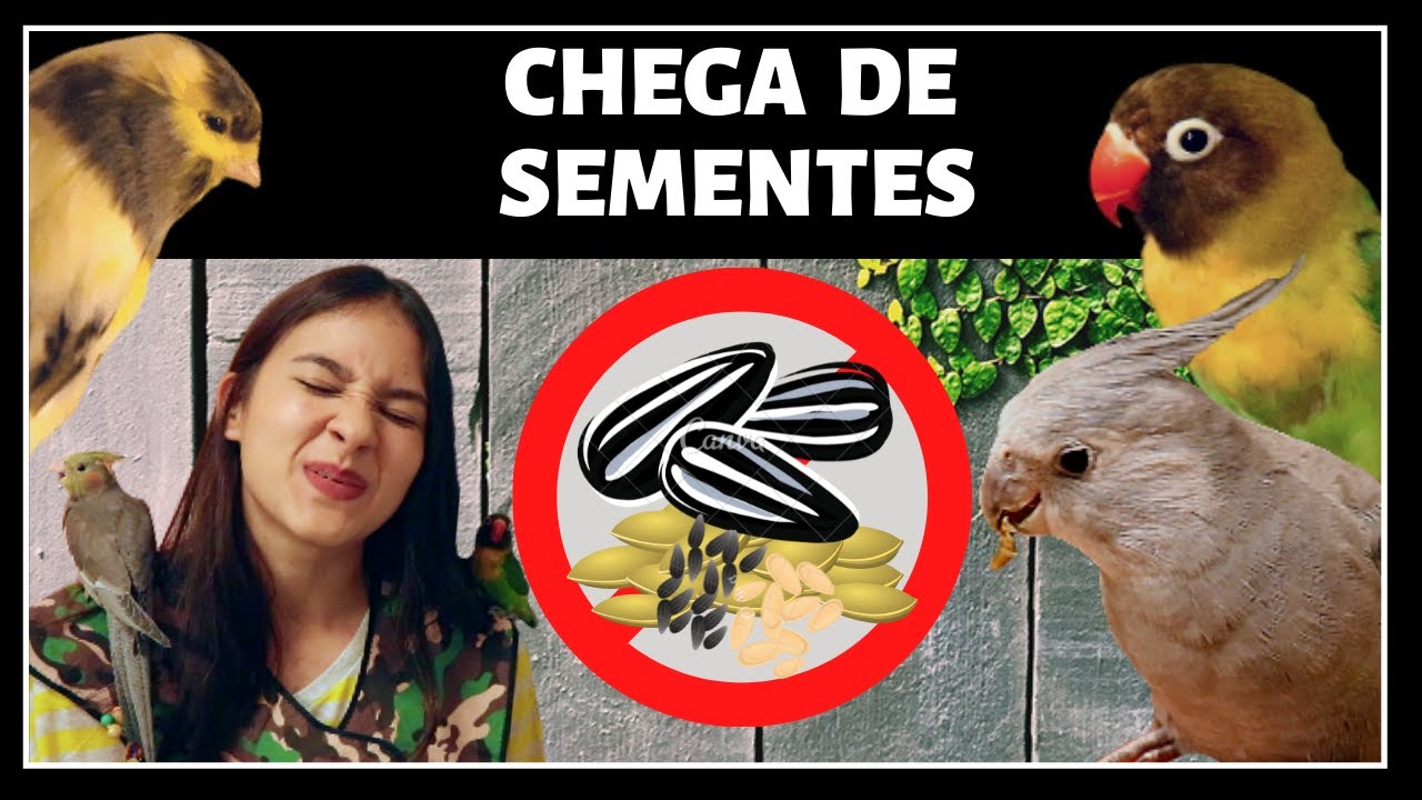RAÇÃO PARA AVES / ALIMENTO PARA CANÁRIO, CALOPSITA, E AGAPORNIS