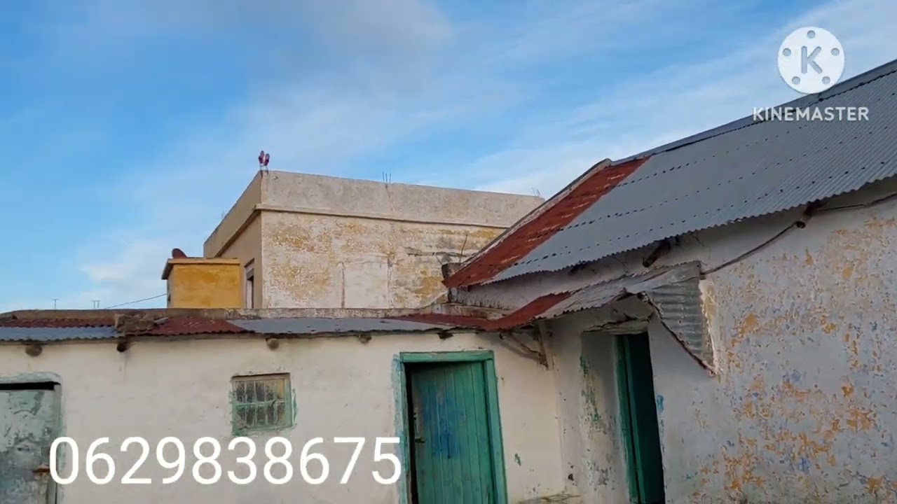 دار بلدية دايرا بيها 1300م ديال الأرض ثمن همزة جد مناسب أي تفسير رقم على شاشة 0629838675