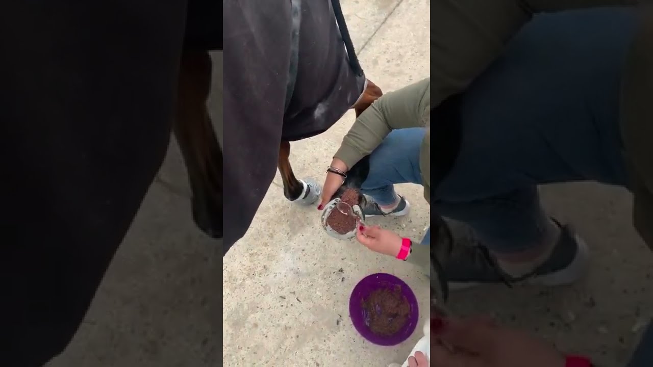 Tuto cataplasme de graine de lin 🤓