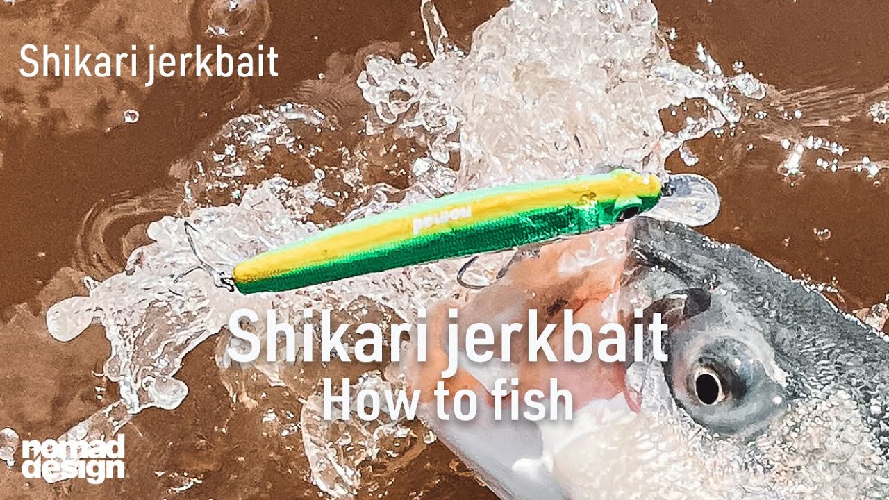 Long casting shallow jerkbait with Tungsten casting system | Shikari saltwater jerkbaits