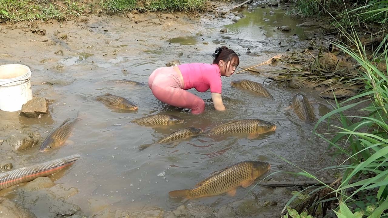Dredge Fishing Nets: Amazing Fishing, Harvesting A Lot Of Fish From A Dry River | Nguyet Fishing