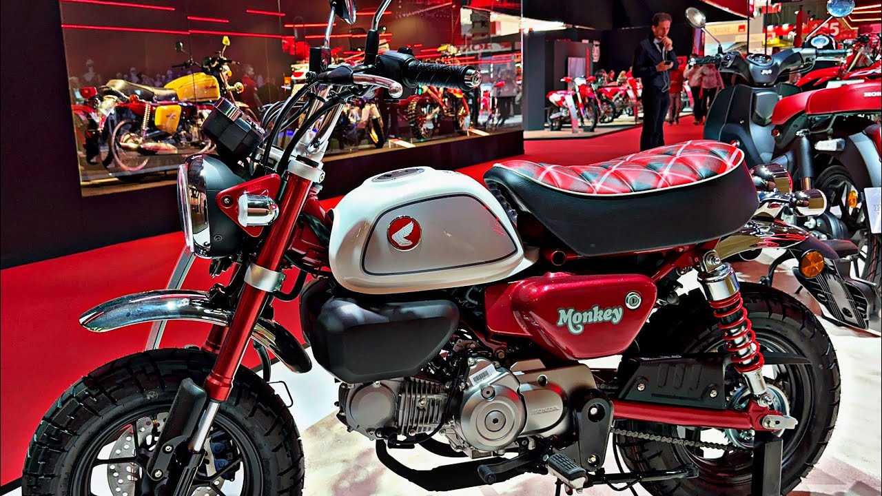 10 Best Honda Mini Bikes & Scooters For 2024