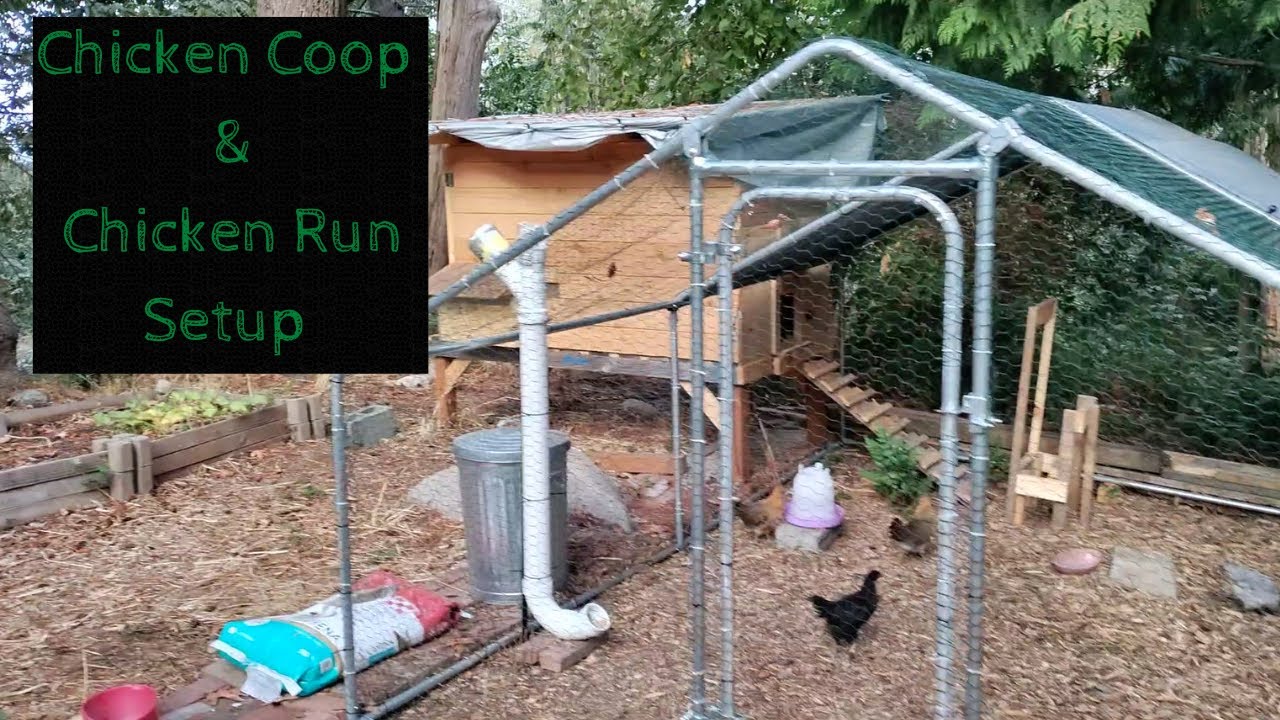 My Chicken Coop & Run Setup