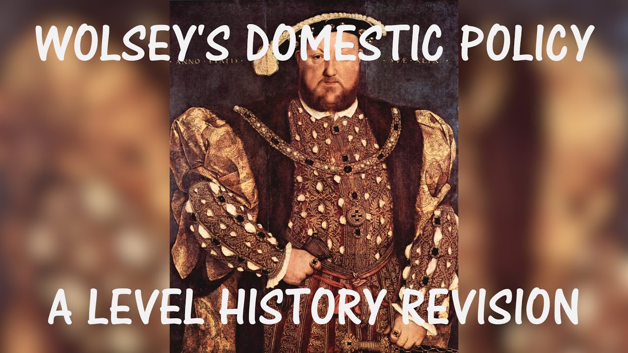 Wolsey&rsquo;s Domestic Policy