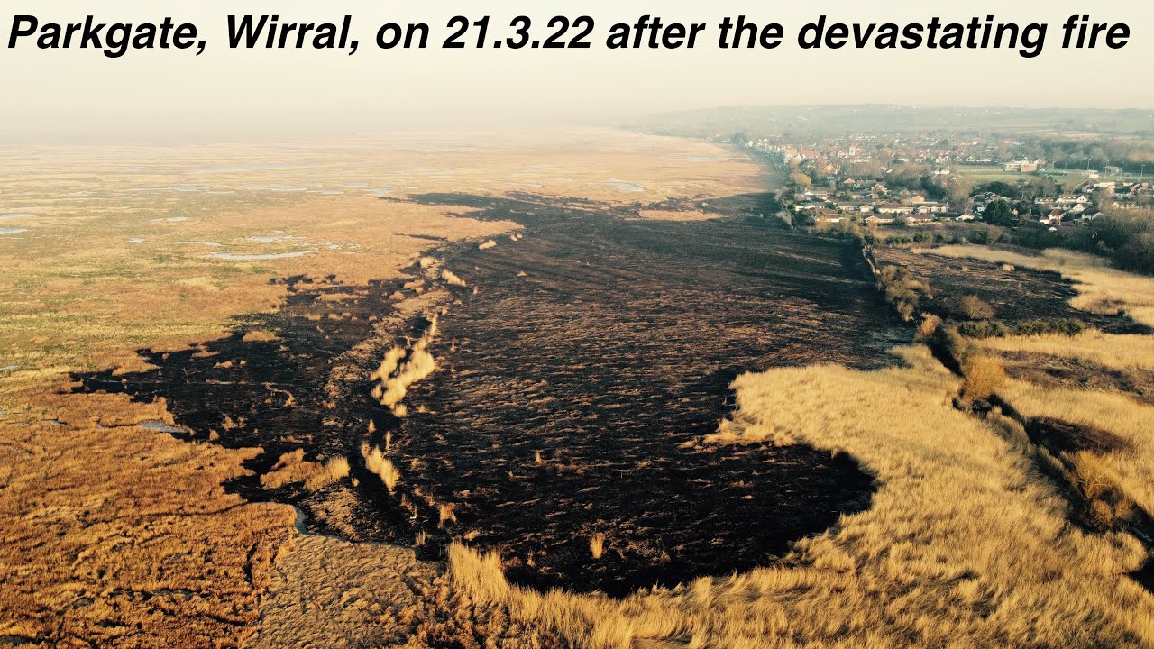 Parkgate, Wirral on 21.3.22 after the devastating fire
