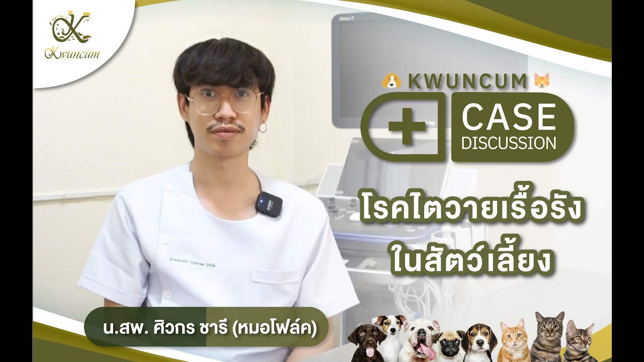 โรคไตวายเรื้อรังในสัตว์เลี้ยง โดย น.สพ. ศิวกร ชารี (หมอโฟล์ค) โรงพยาบาลสัตว์ขวัญคำ