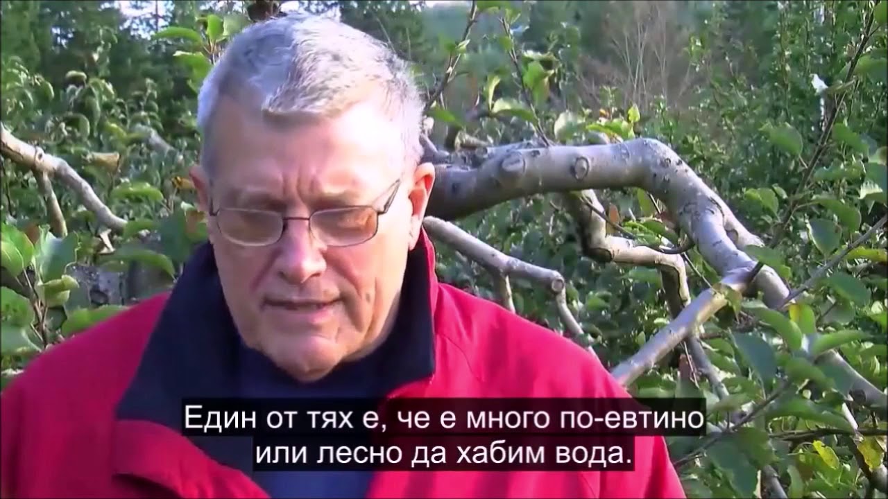 Пол Гаучи - най-добрият градинар