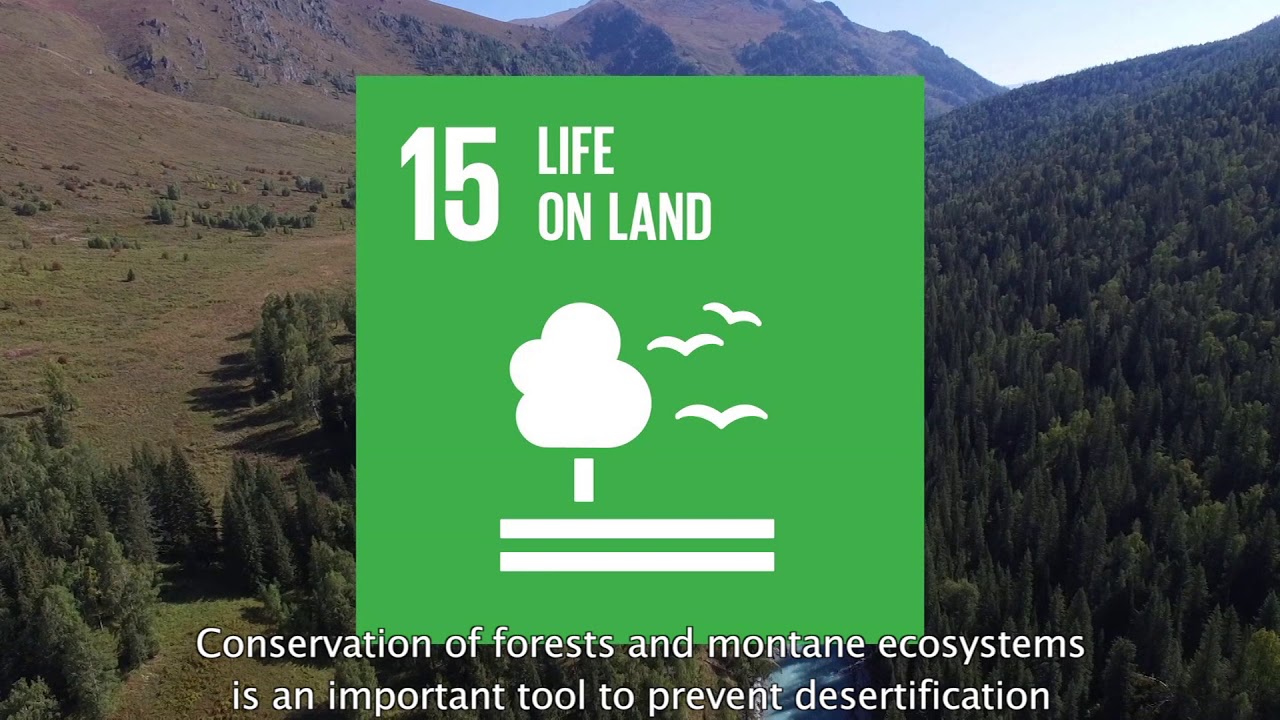 Great Altay Transboundary Biosphere Reserve's solutions for SDGs (Kazakhstan/Russian Federation)