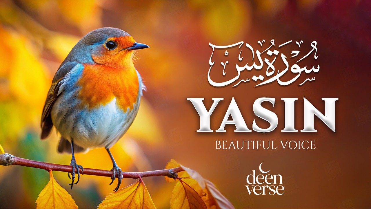 Surah Yaseen (Yasin) سورة يس | Lofi Quran for Spiritual Calm and Deep Relaxation | #surahyaseen