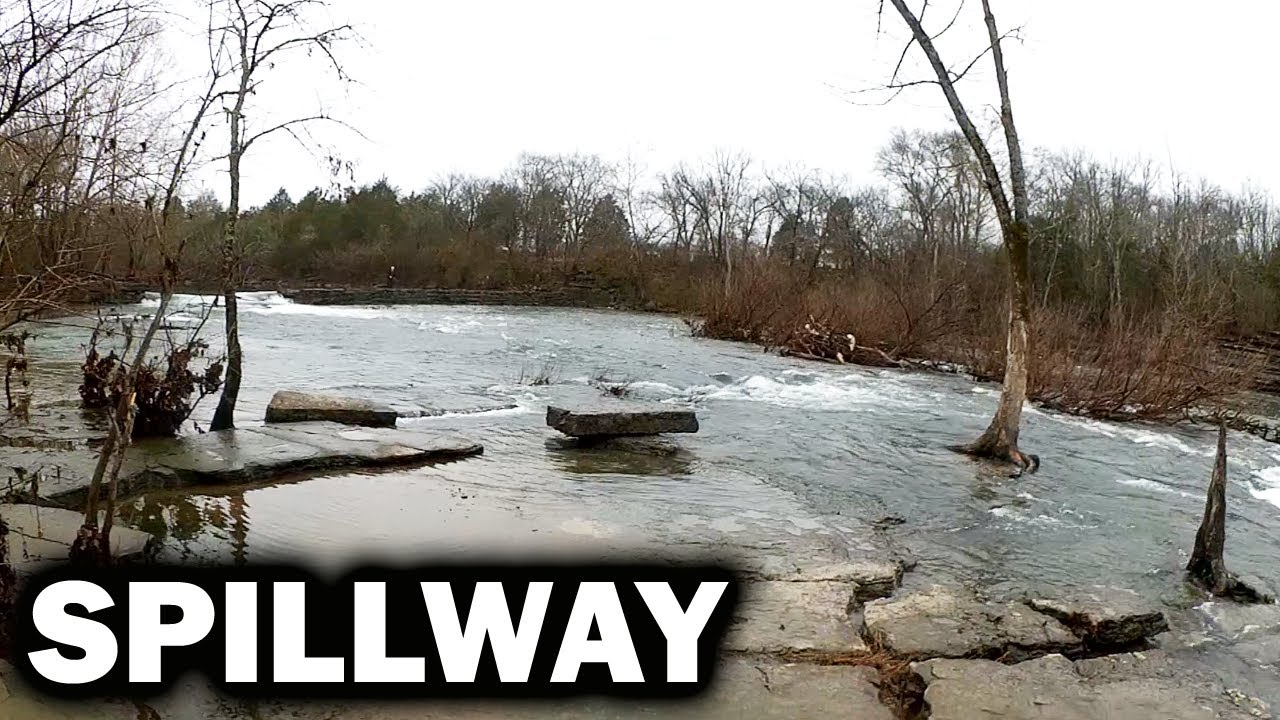 Spillway Trout Fishing with PowerBait Mice Tails and Power Eggs