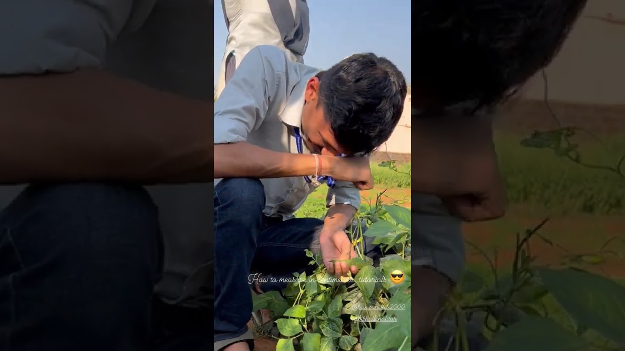 BSc Agriculture Course | BSc Agriculture College | BSc Agriculture Student Life