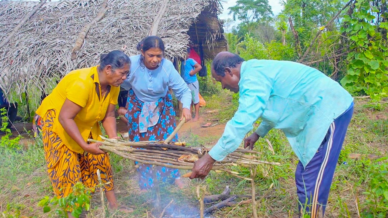 A 5000-year-old traditional finger millet (kurakkan) harvesting  - Mali cooking