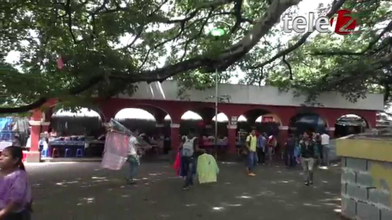 Recorriendo Palín