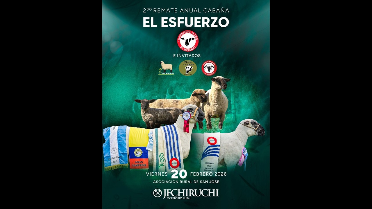 Remate J.F.Chiruchi - El Esfuerzo e Invitados