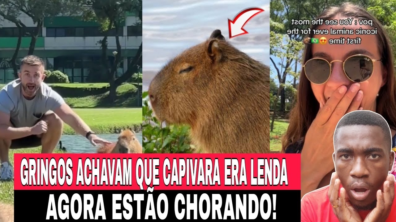 Gringos choram ao conhecer capivaras pela 1 vez -você vai entender o motivo!