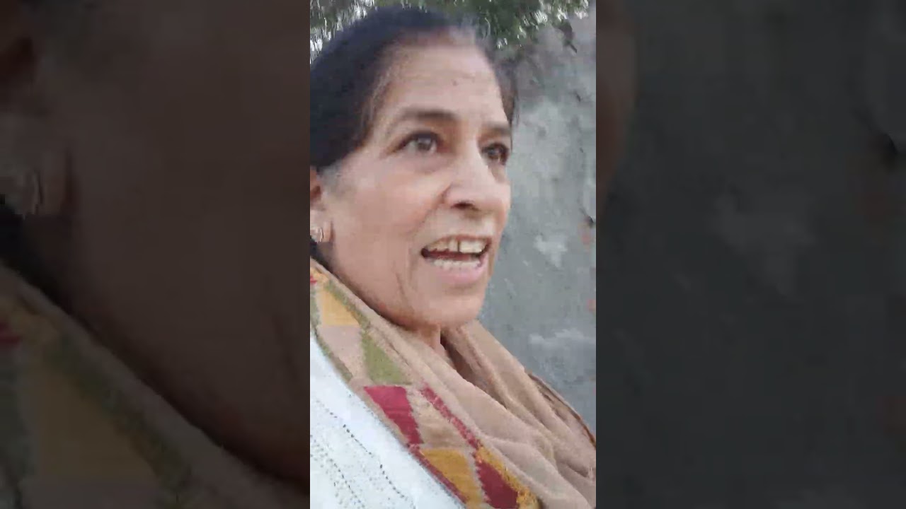 दादी गई ट्रेन और प्लेन देखने 