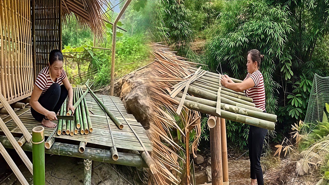 Amazing Bamboo House DIY: Single Mother Builds Her Dream Home Solo (Full Process)