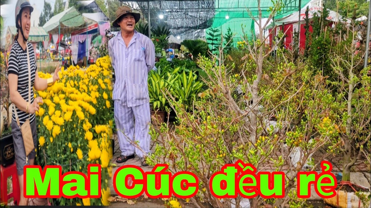 Đường hoa Hồng Ngự giá rẻ như cho_ Nắm Nguyễn P 