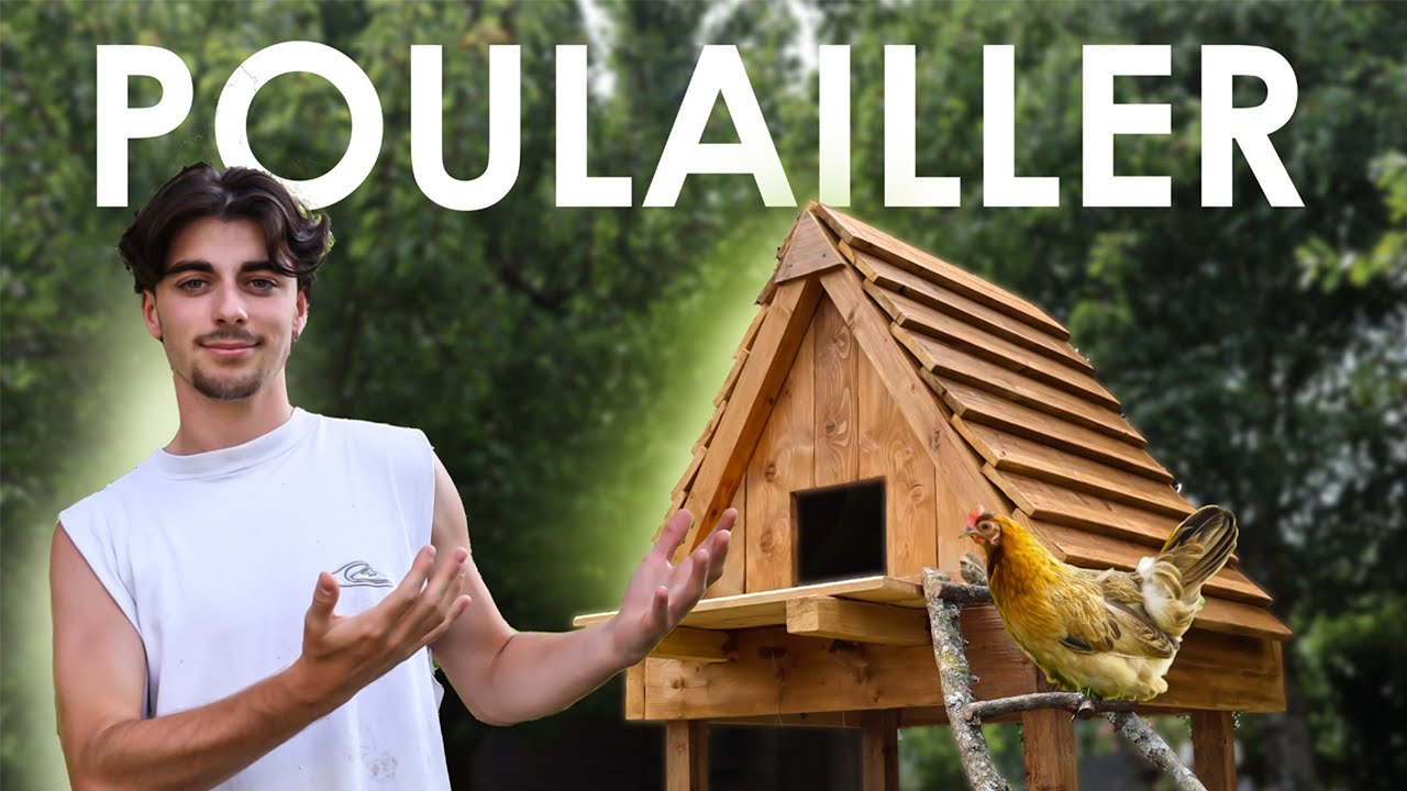 J'ai construit un POULAILLER incroyable en BOIS !!