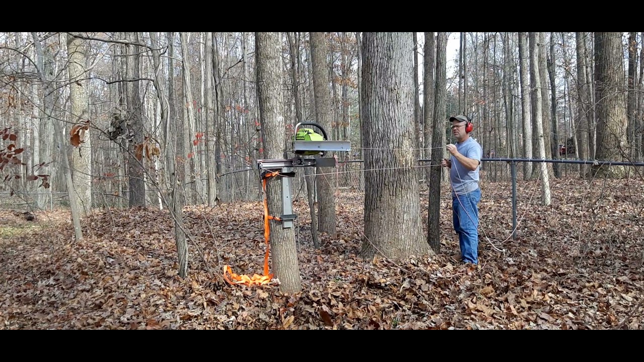 First cut with the Remote Tree Feller
