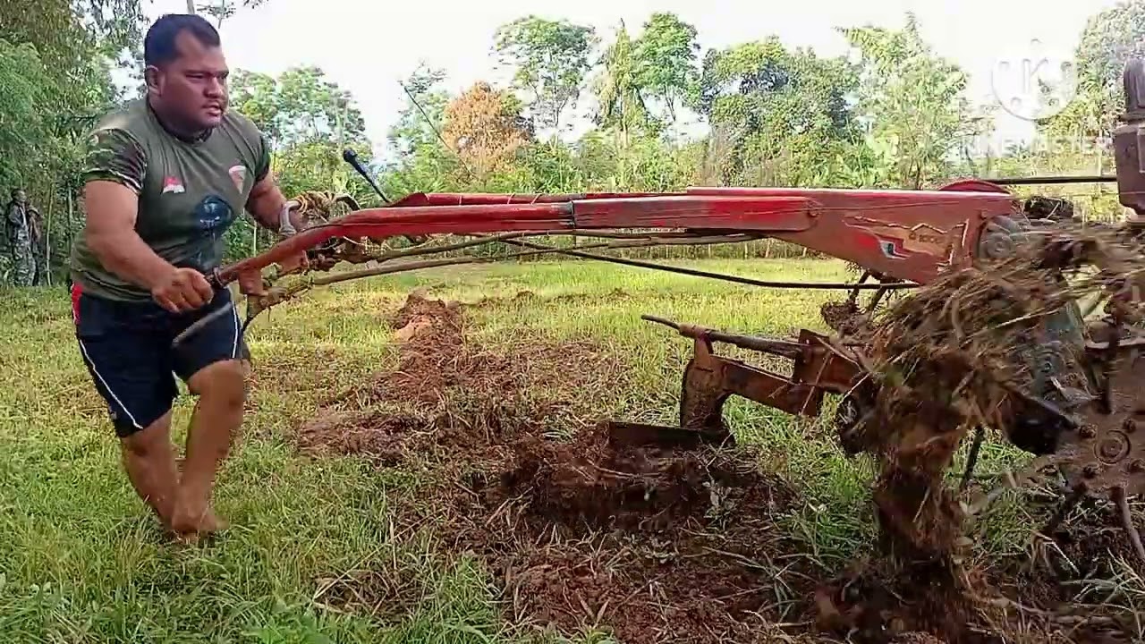 Kehidupan di kebun bawang. Bajak tanah