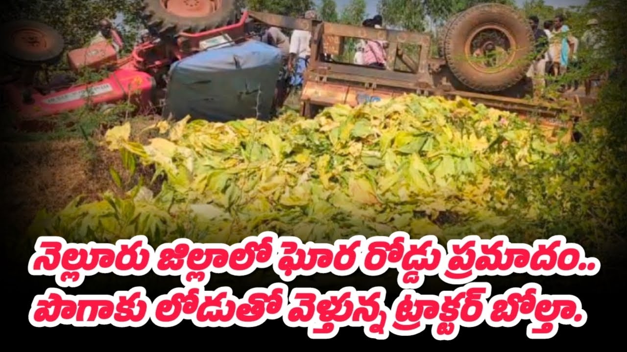 నెల్లూరు జిల్లాలో ఘోర రోడ్డు ప్రమాదం..Tractor overturns in serious road accident in Nellore district