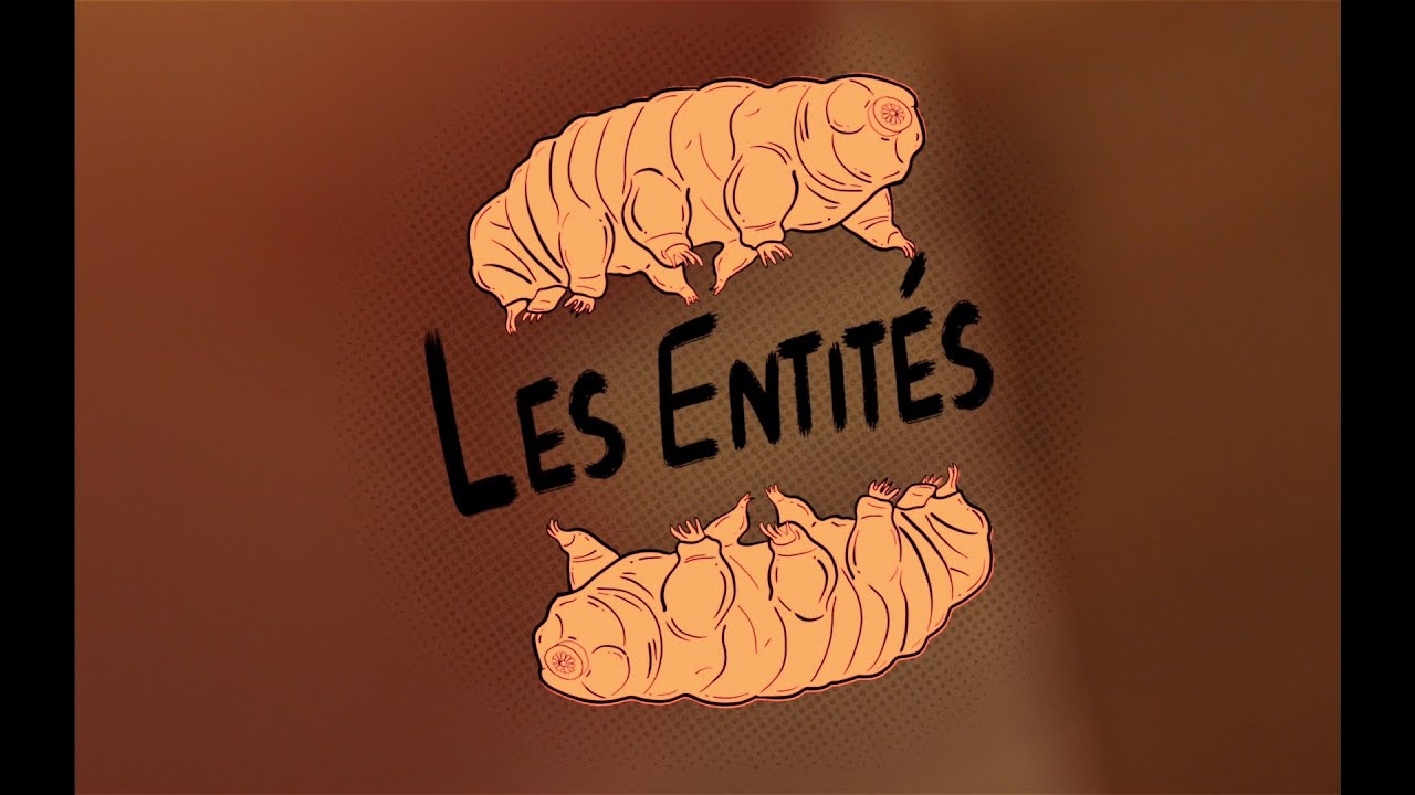 Les Entit&eacute;s - Anabiose Live @Airval Studio 2/3