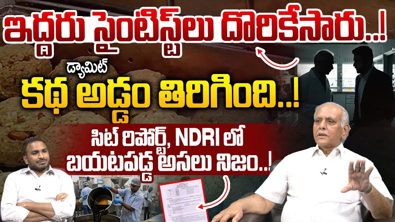 TTD Laddu Adulteration Case Full Story: ఇద్దరు సైంటిస్ట్ లు దొరికేసారు.! | YS Jagan | Wild Wolf Taja