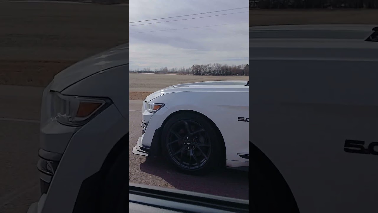 cobalt ss vs 5.0 mustang