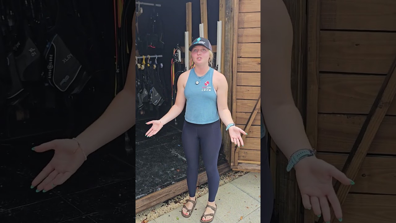 How Do You Get Ready For Scuba Diving?