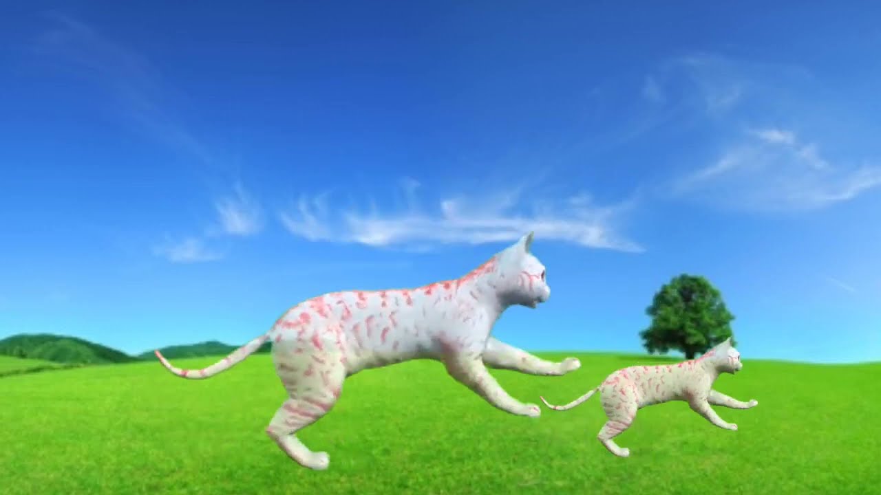 Beautiful animated cats, #animatedcartoonstory