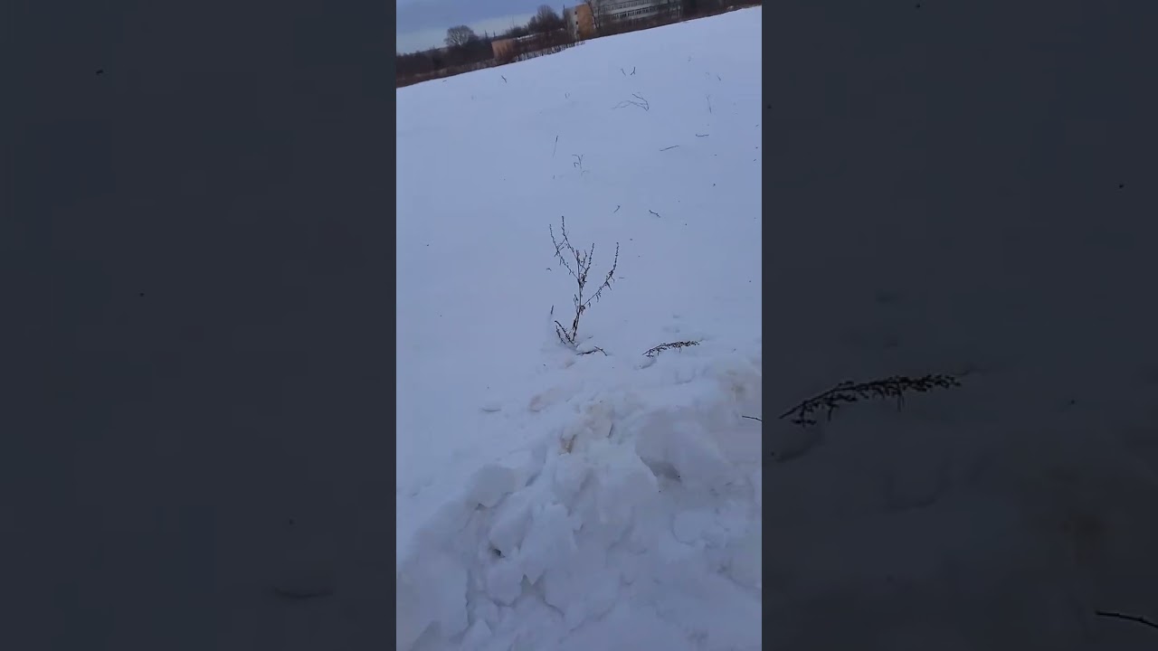 24 февраля 2026 г.