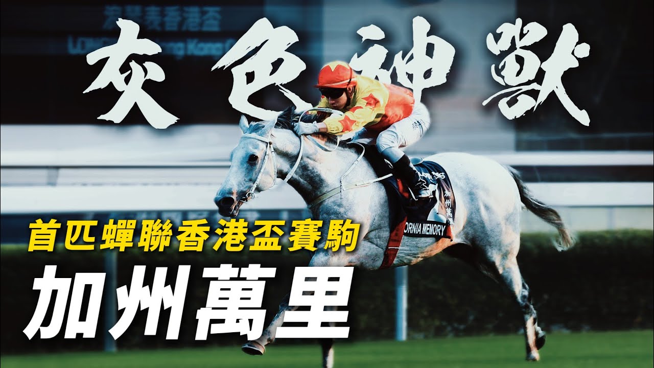 無懼「翻閹」的灰色神獸！馬壇神童的最佳拍檔｜加州萬里｜告東尼｜蔡明紹｜首匹蟬聯香港盃賽駒｜爆冷贏香港金盃技驚四座｜#賽馬物語